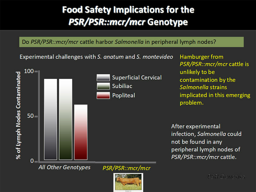 Red Polls cattle food safety implications chart